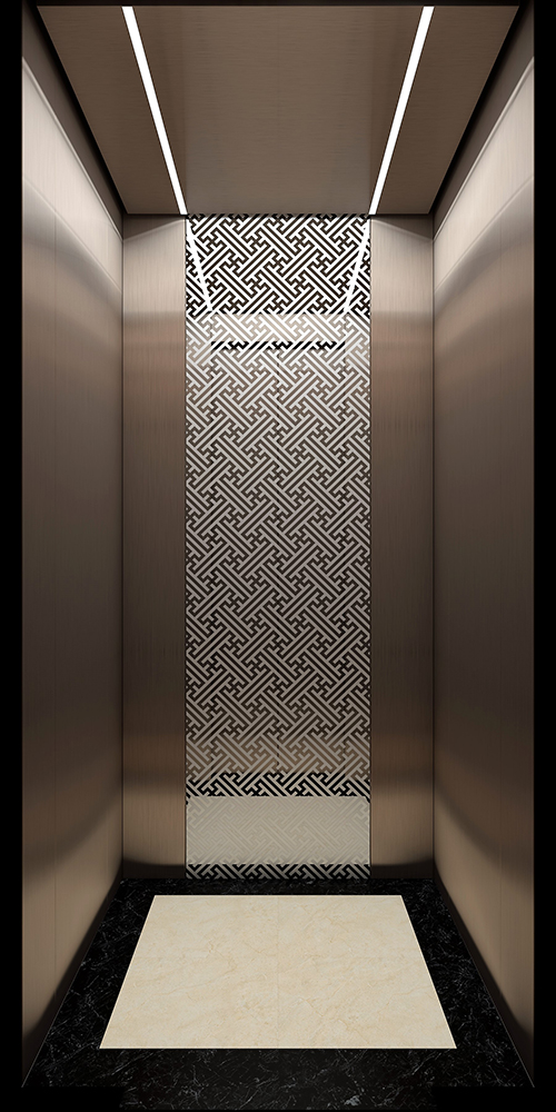Home Lift And Elevator SV200-3