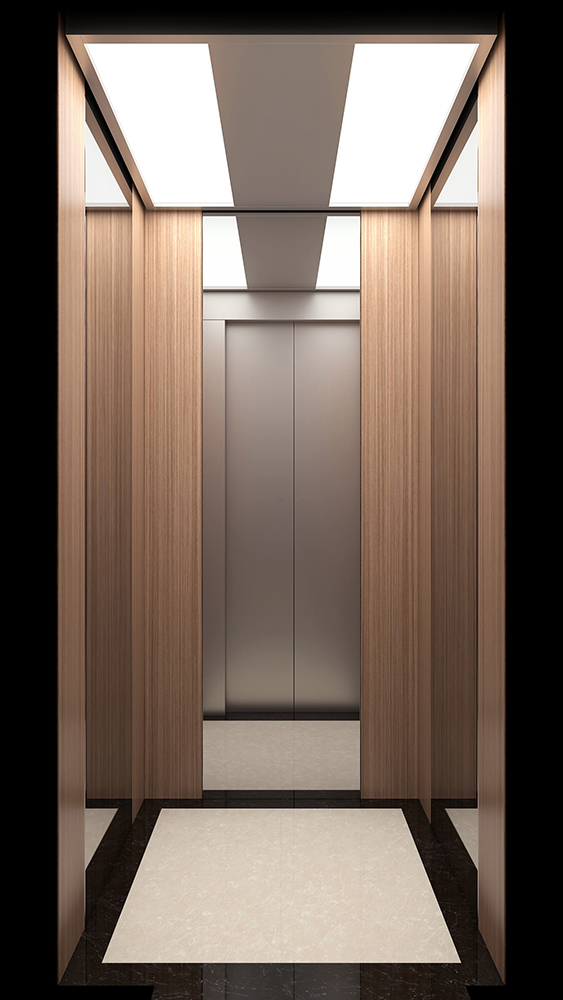 Home Lift And Elevator Model SV200-6