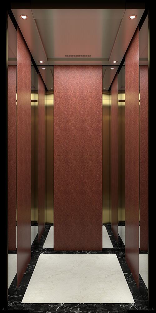 Home Lift And Elevator SV200-10
