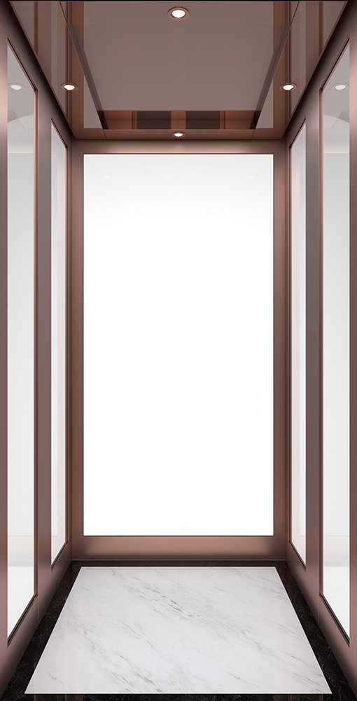 Home Lift And Elevator SV200-8