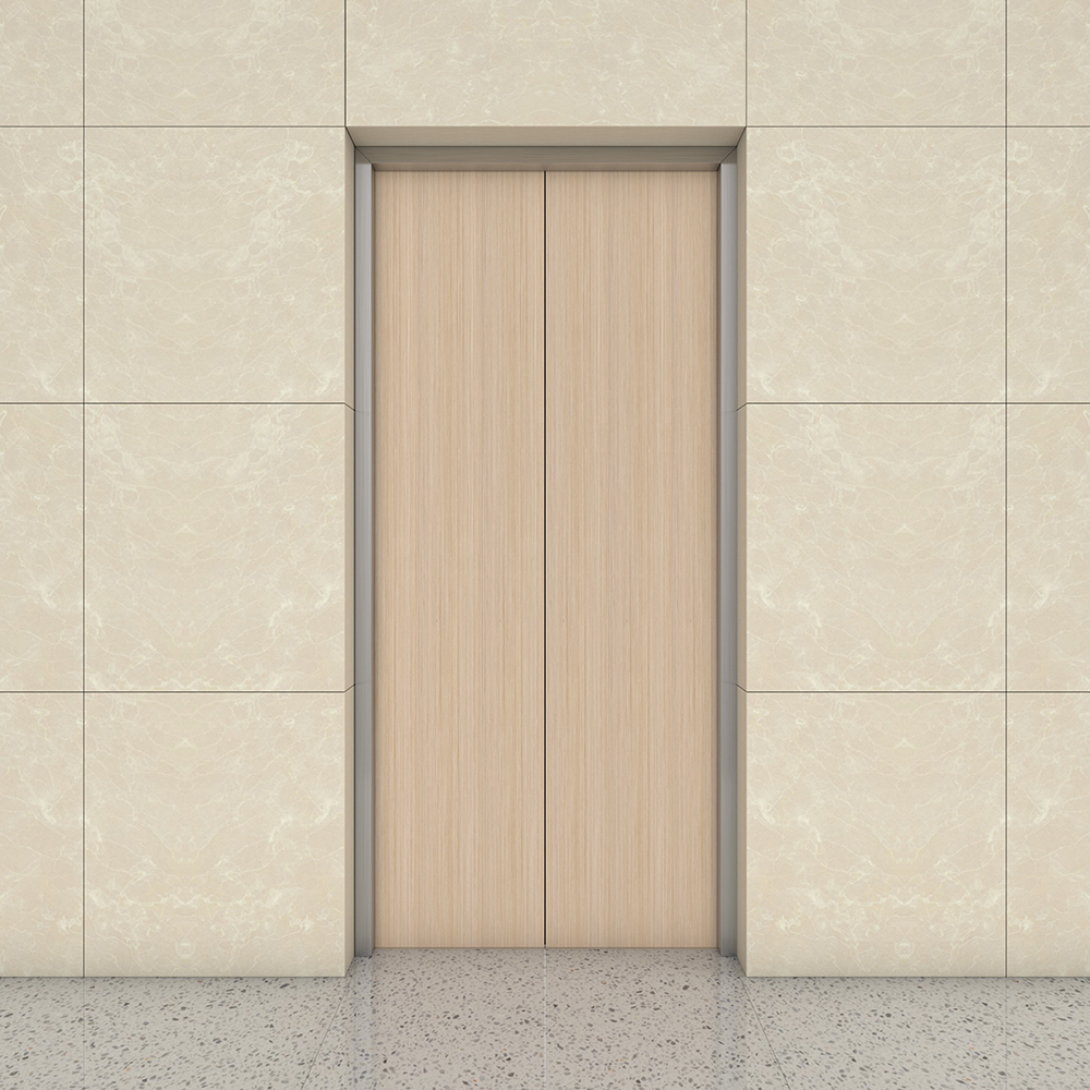 Home Lift And Elevator