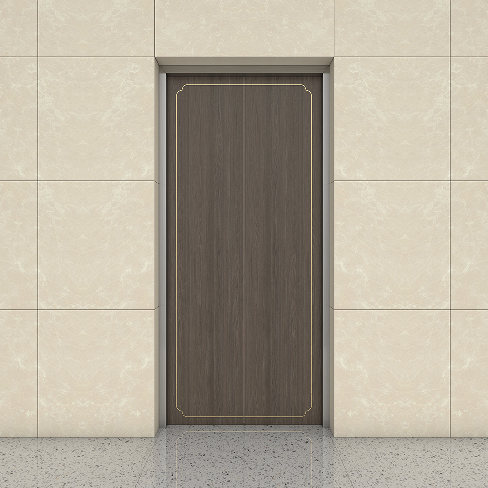 Home Lift And Elevator