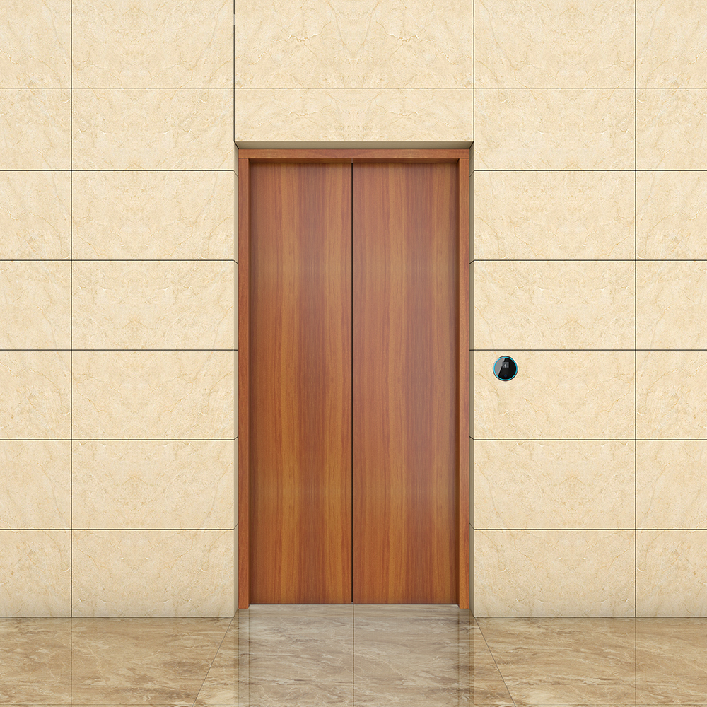 Home Lift And Elevator